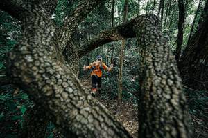 BIB: 
                            <button type="button" onclick="openModal(25391894)" class="btn btn-primary btn-sm float-right btn-popup" data-toggle="modal" data-target=".modal-high-quality">
                        <i class="fas fa-shopping-cart"></i> Add to Cart
                    </button>
                                            <button type="button" onclick="isThisMe(25391894, true)" class="btn btn-success btn-sm float-right btn-popup btn-isme hidden" data-toggle="tooltip" data-placement="bottom" title="นี่คือรูปของคุณใช่ไหม คลิกที่นี่เพื่อเอาเข้าอัลบั้ม">
                        <i class="fas fa-plus"></i> Add to album
                    </button>
                    <button type="button" onclick="isThisMe(25391894, false)" class="btn btn-warning btn-sm float-right btn-popup btn-isnotme hidden">
                        <i class="fas fa-ban"></i> Remove from album
                    </button>